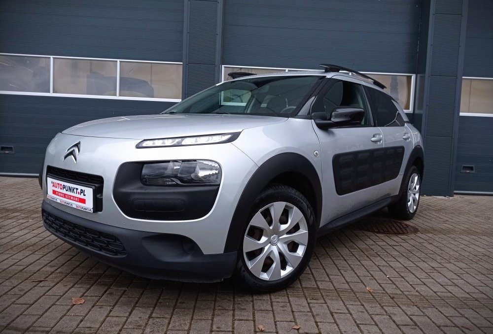 C4 Cactus