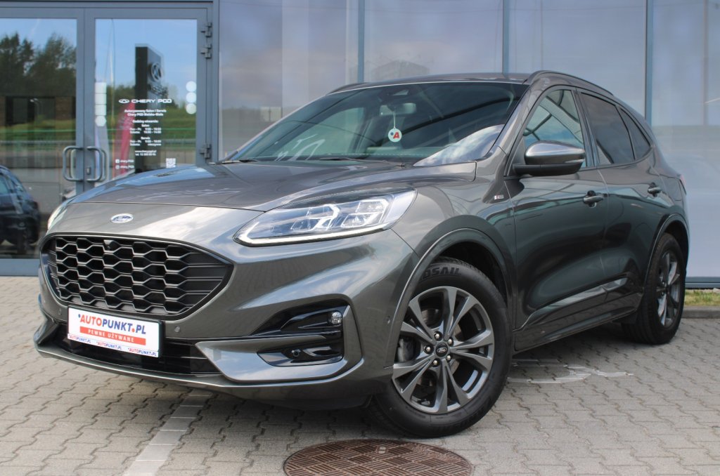 Kuga