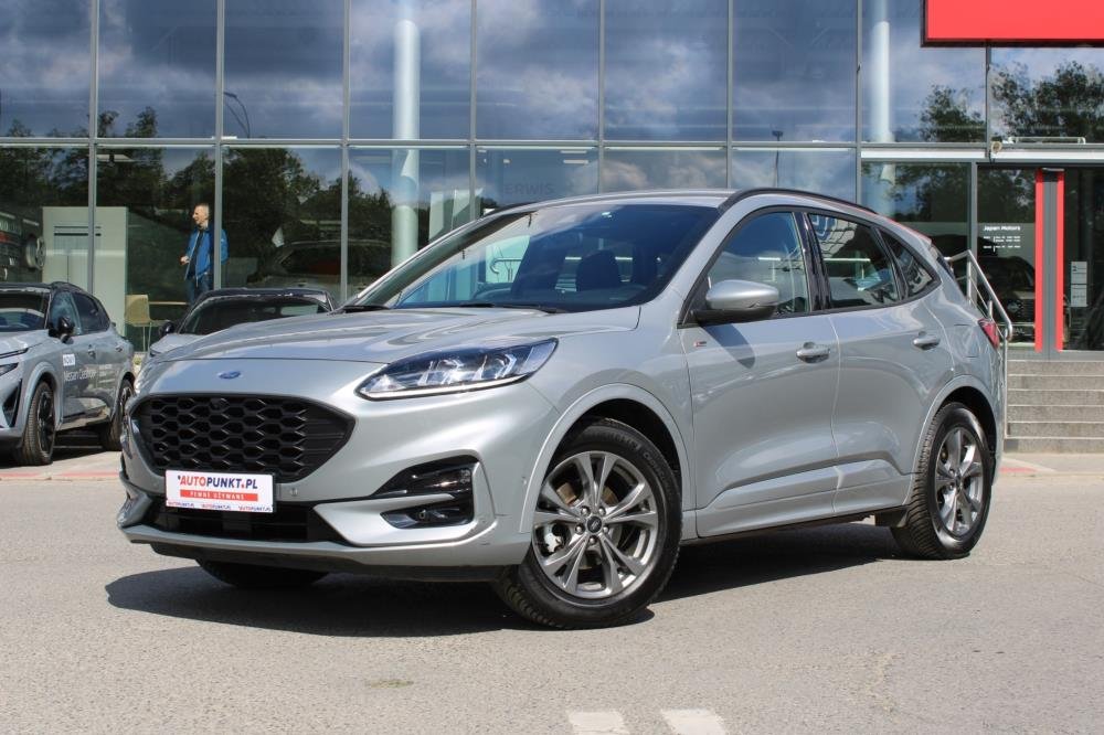 Kuga