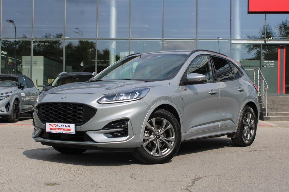 Kuga