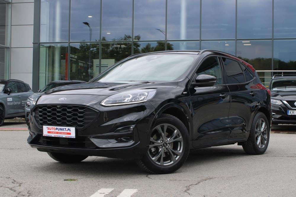 Kuga