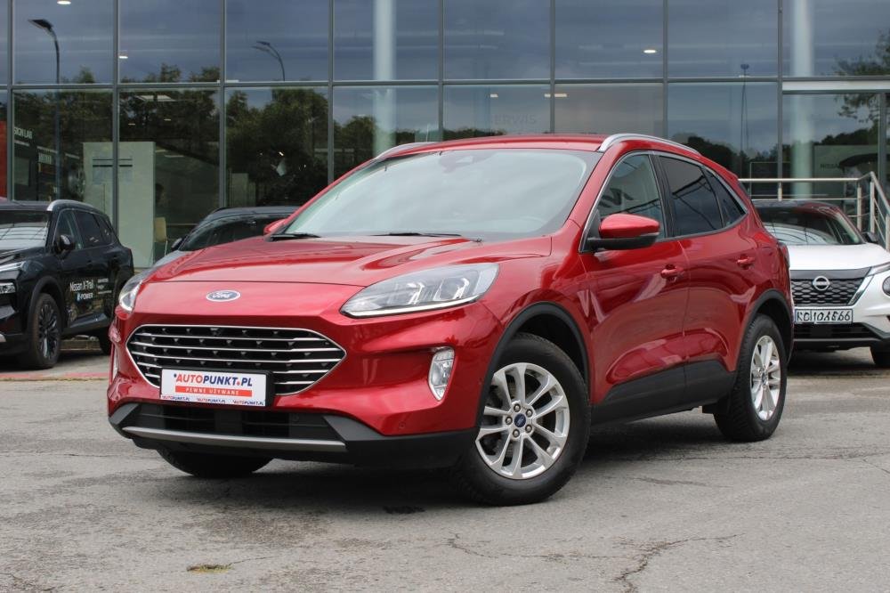 Kuga