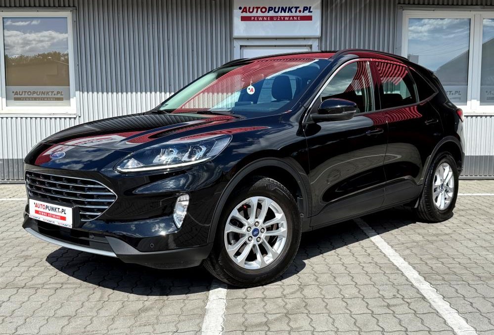 Kuga