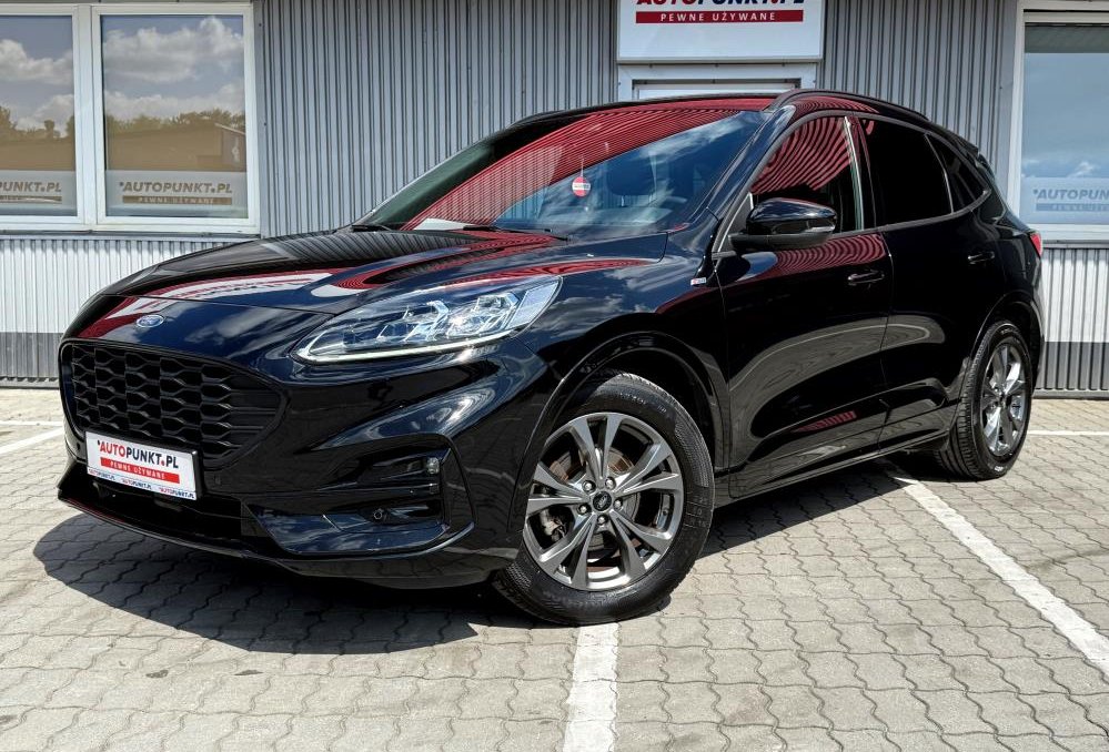 Kuga