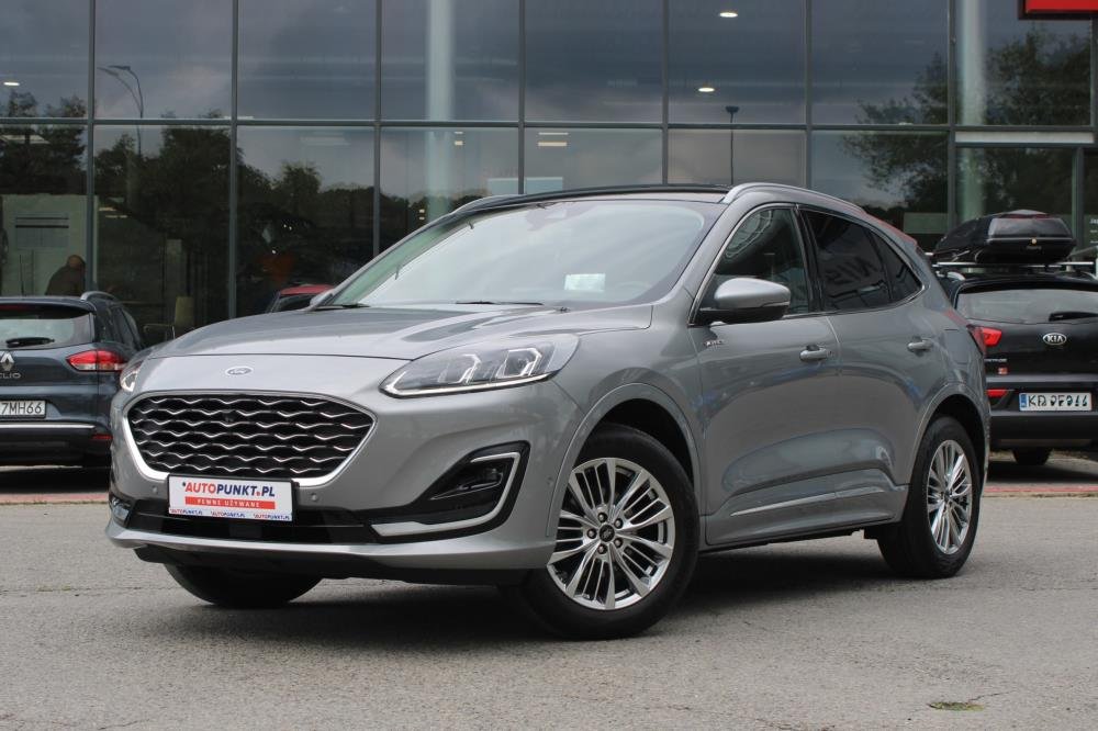 Kuga