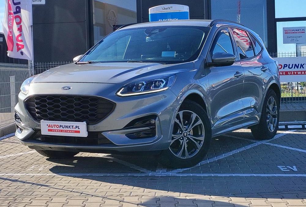 Kuga