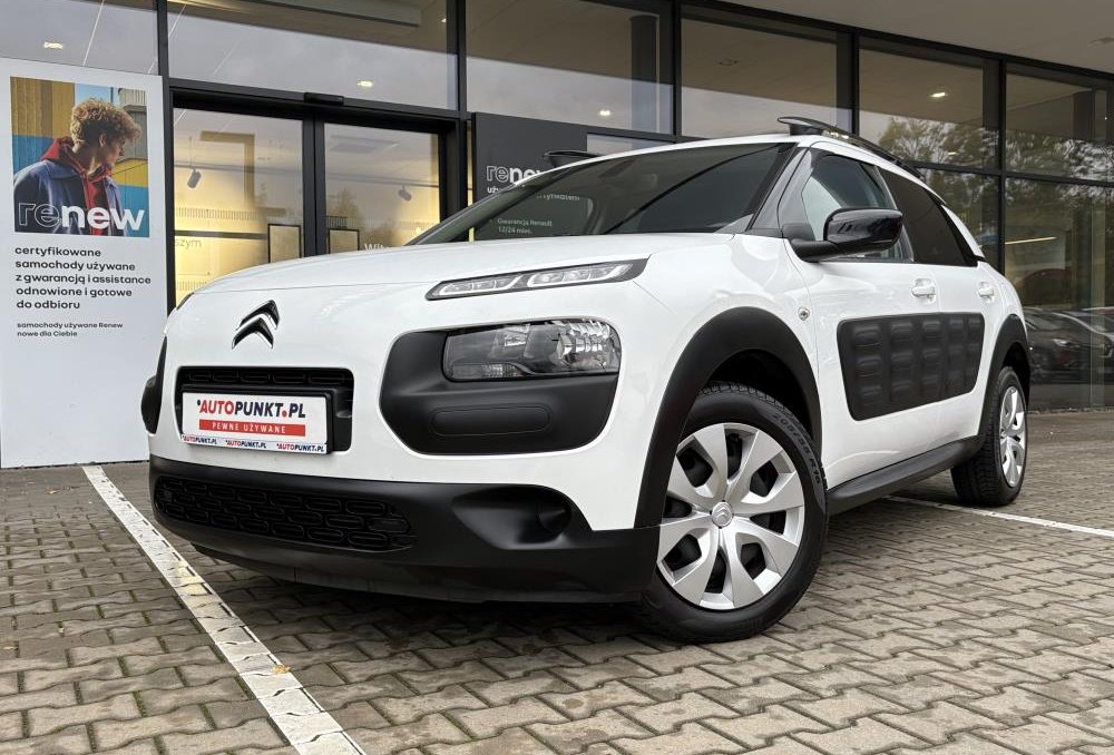 C4 Cactus