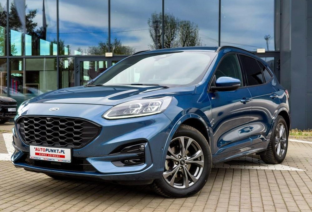 Kuga