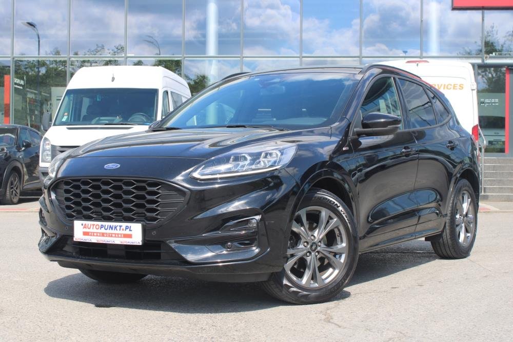 Kuga