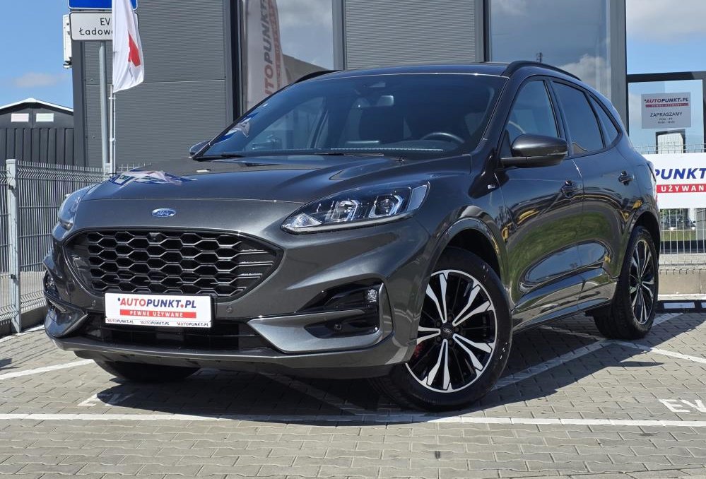 Kuga