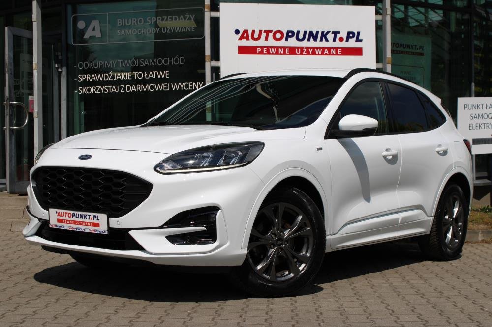 Kuga
