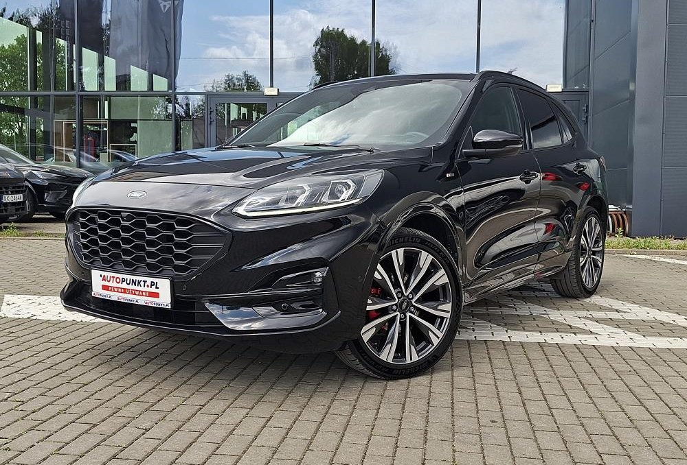 Kuga