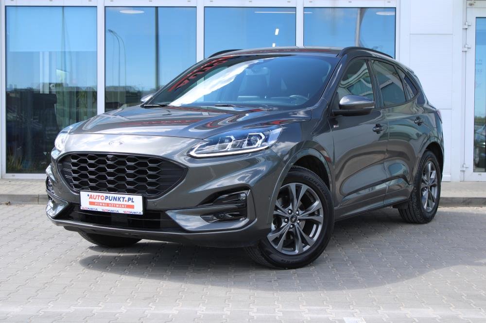 Kuga