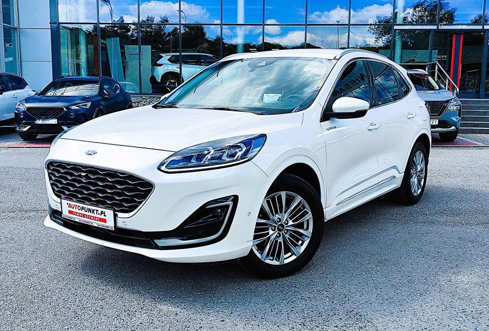 Kuga