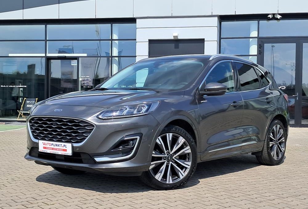 Kuga