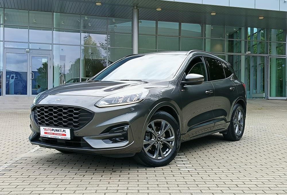 Kuga