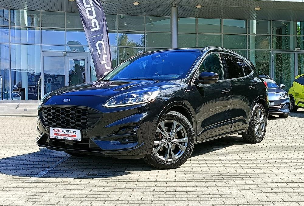 Kuga