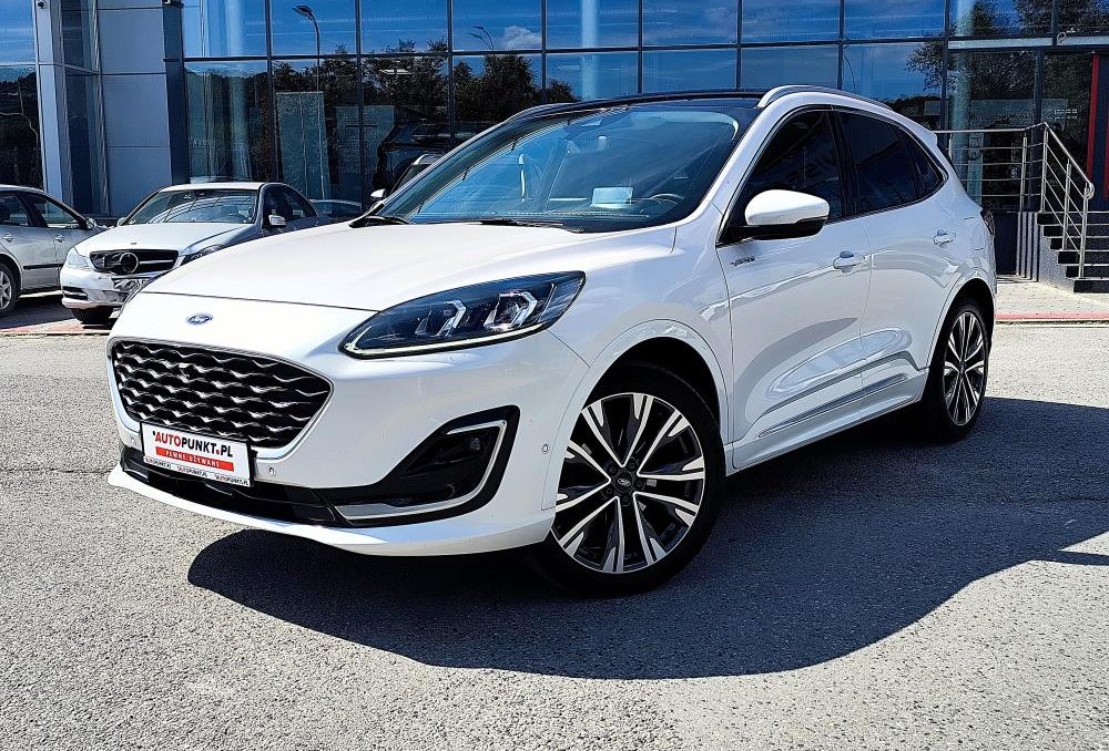 Kuga