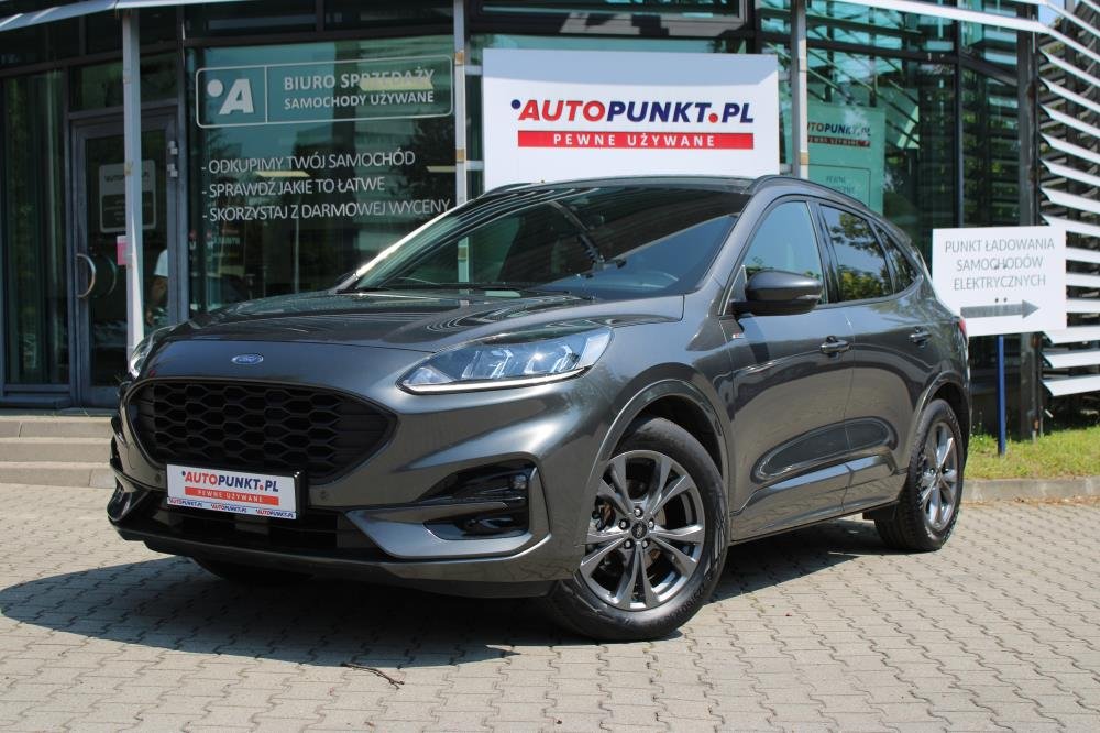 Kuga