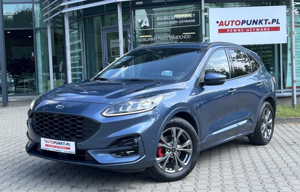Kuga