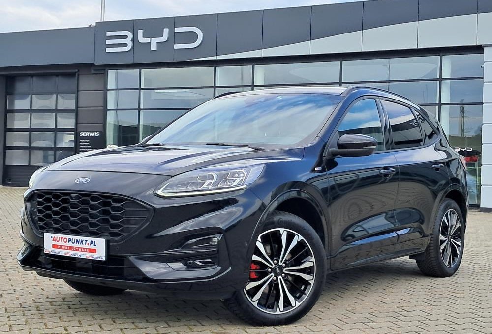 Kuga