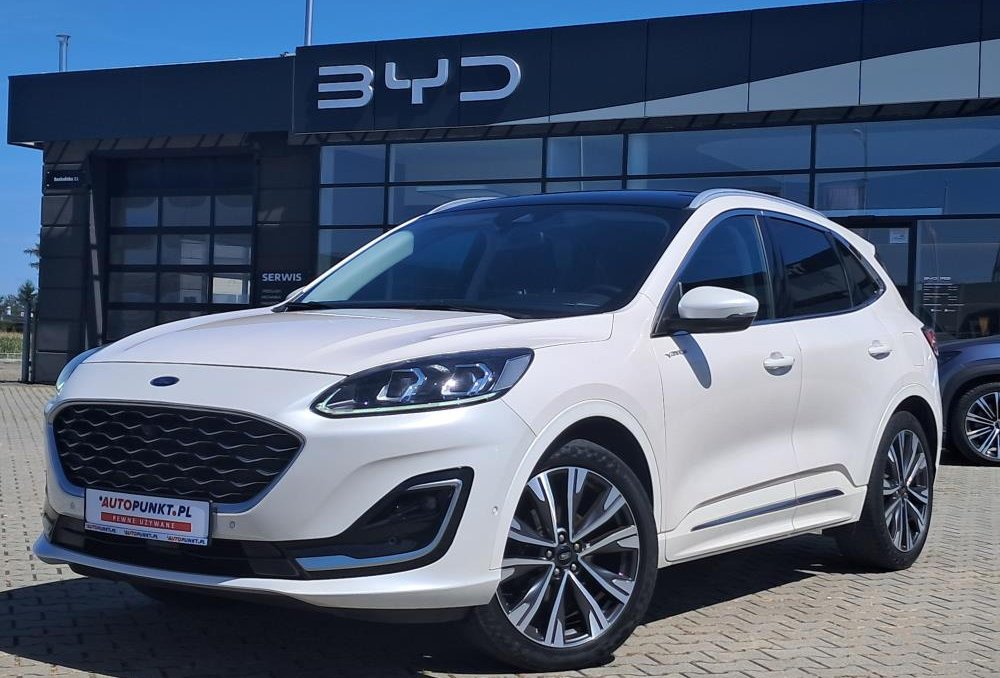 Kuga