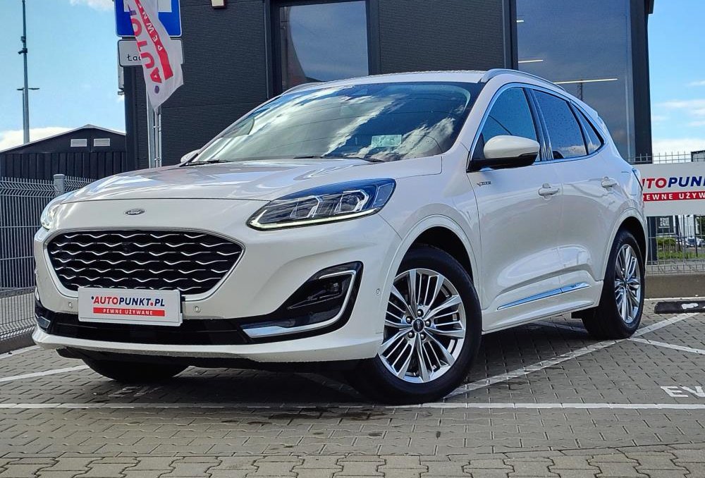Kuga