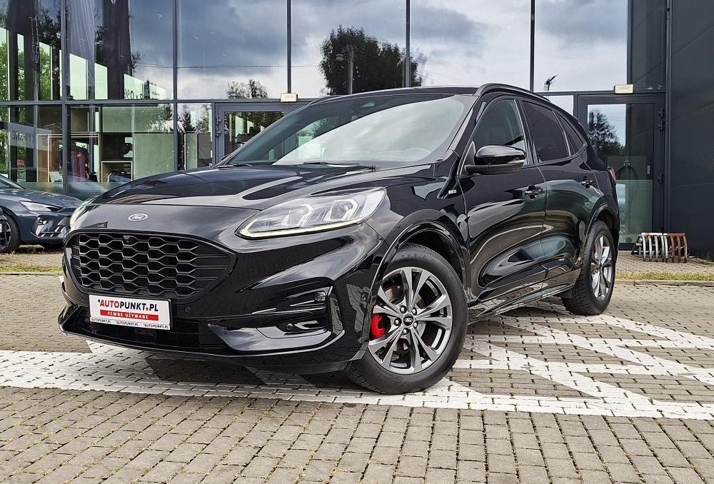 Kuga