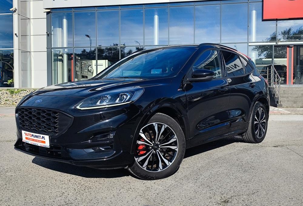 Kuga
