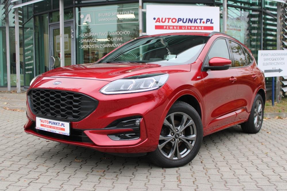 Kuga