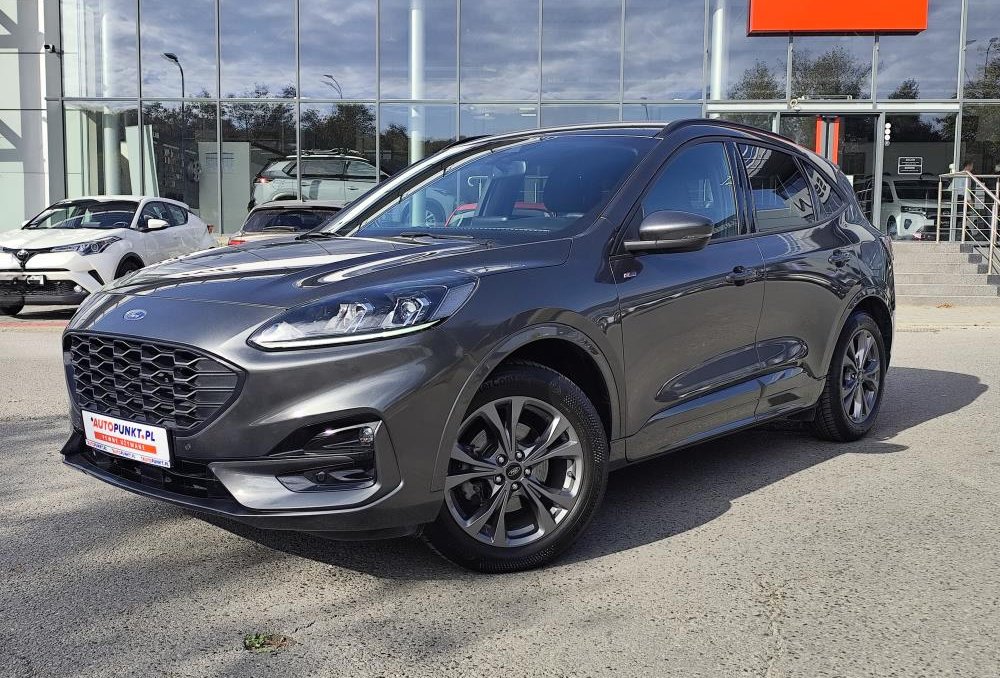 Kuga