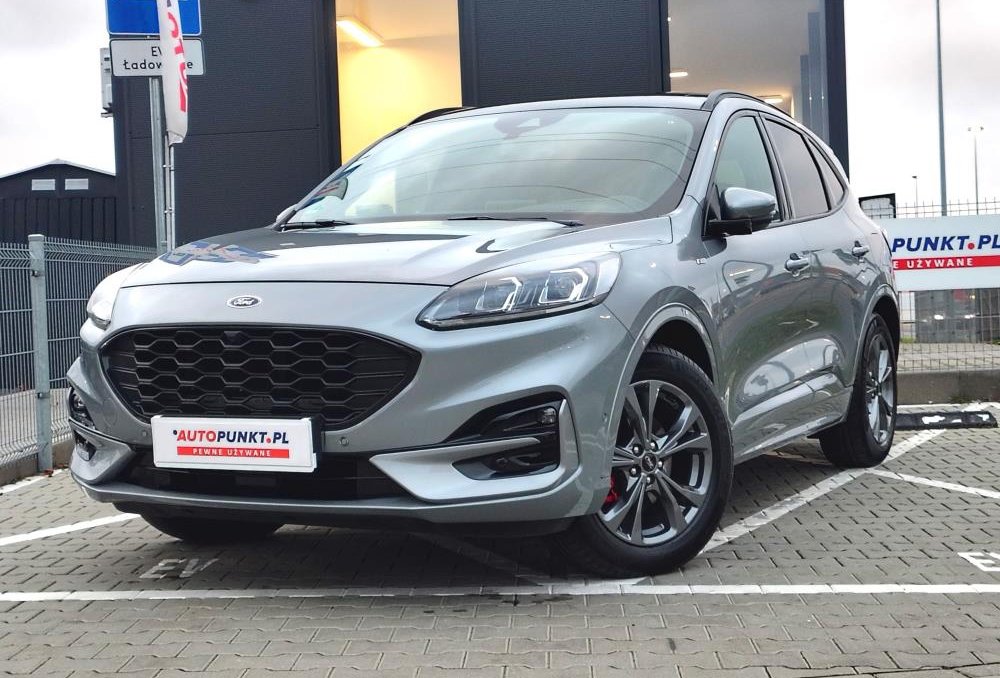 Kuga