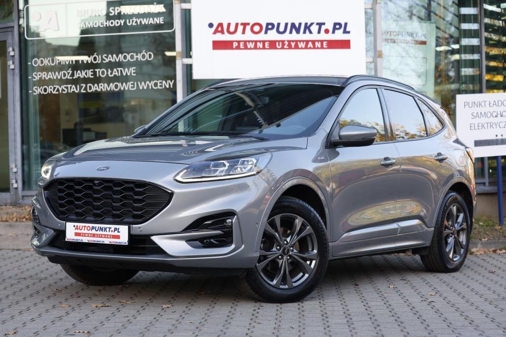 Kuga